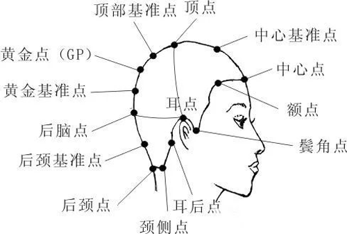 2023年初学者剪发基本手法