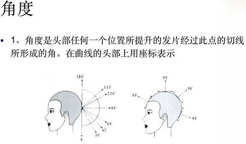 2023年初学者剪发基本手法